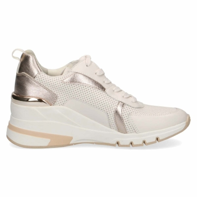 Дамски обувки Caprice 261936223722