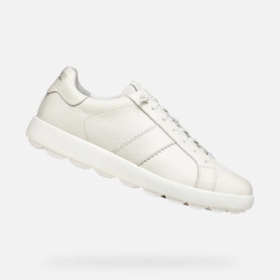 Кожени сникърси Geox U36FYC 00046 C1000